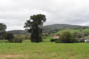 Terreno Iruz Santiurde de Toranzo photo 0