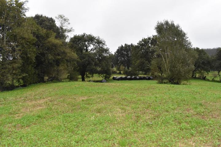 Terreno Iruz Santiurde de Toranzo photo 0