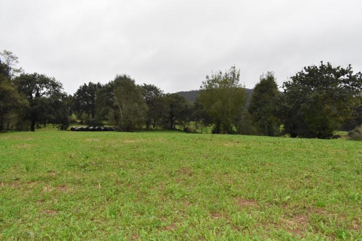 Terreno Iruz Santiurde de Toranzo photo 0