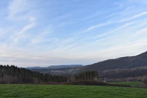 Venta de casa adosada en Herrerias photo 0