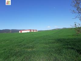 Inmobiliaria Telletxe vende terreno industrial en la Puebla de Arganzón a 5 minutos de Vitoria-Gazte photo 0