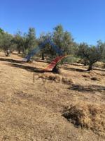 Terreno en venta en Cuacos de Yuste de 3234 m2 photo 0