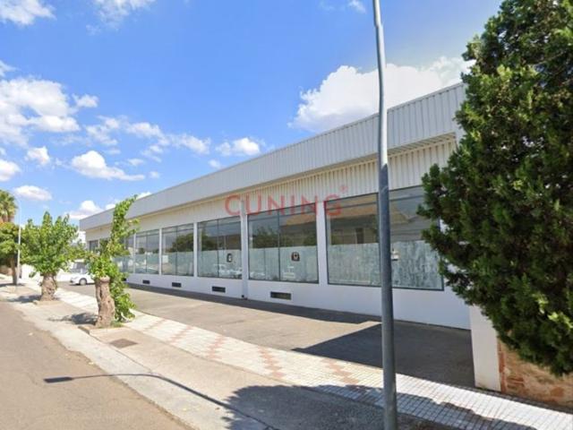 Industrial En venta en Cabeza Del Buey photo 0