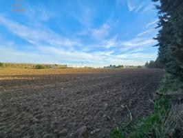 VENTA DE FINCA EN HUMANES DE MADRID photo 0