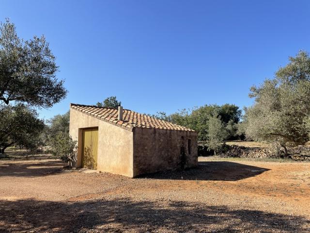 Casa De Campo En venta en L'Aldea photo 0