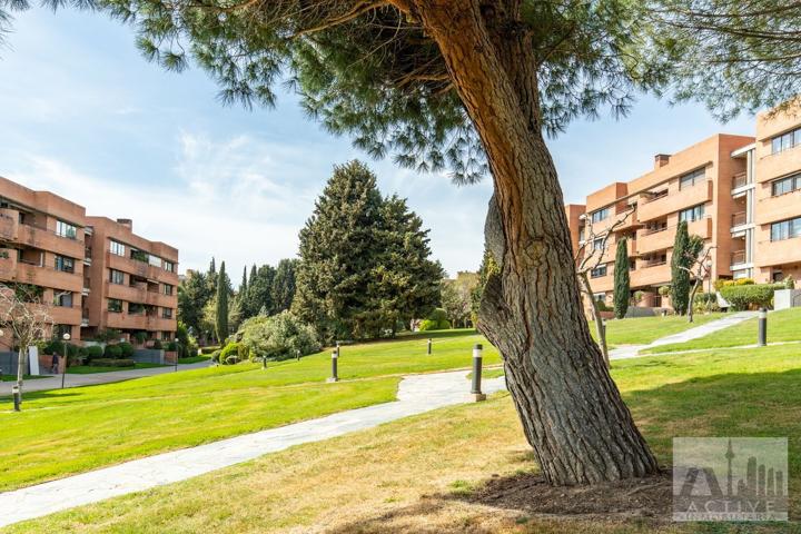 Piso En venta en Calle Cierzo, Zona Prado De Somosaguas - La Finca, Pozuelo De Alarcón photo 0