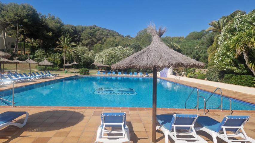 Bellaluz La Manga Club photo 0