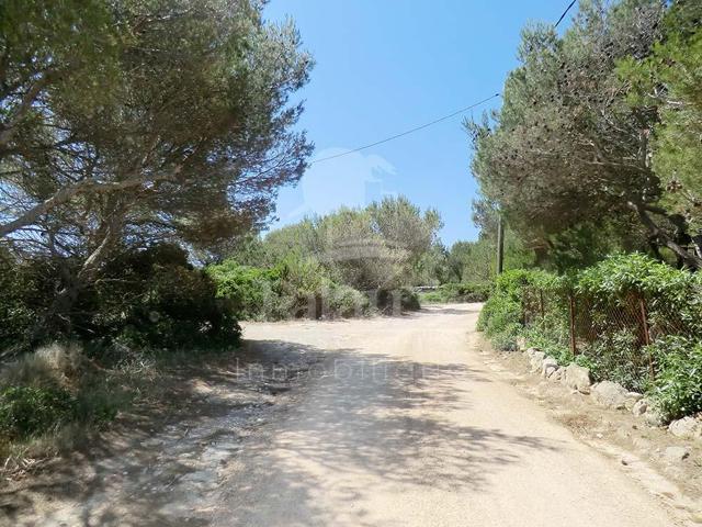 Ref. 2767 Terreno rústico en Cala Morell photo 0