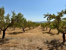 Granja En venta en Alhama De Granada photo 0