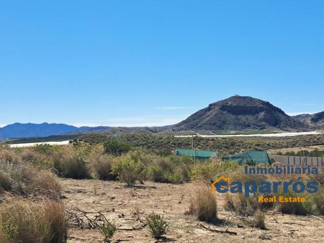 FINCA RÚSTICA LLANOS DEL MAYOR - ANTAS photo 0