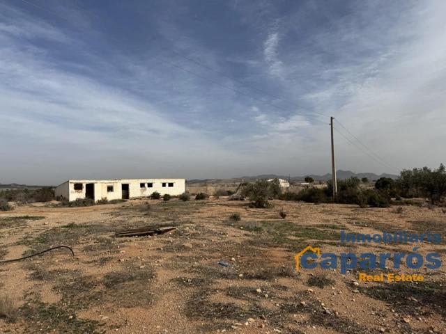 TERRENO RÚSTICO - PULPI photo 0