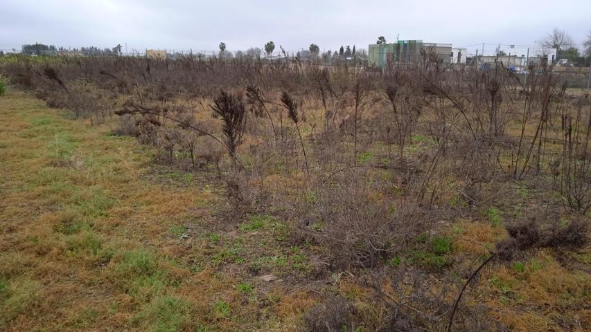 TERRENO RURAL photo 0