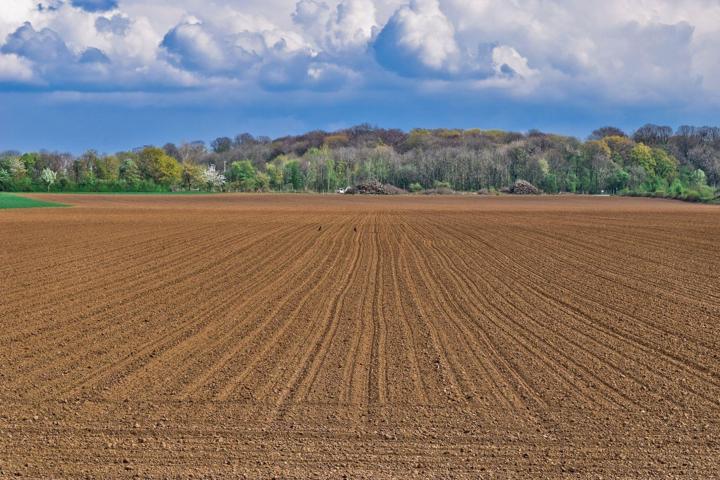 ¡Se vende terreno agrícola ideal para cultivo! photo 0