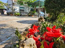 Chalet en casas viejas photo 0