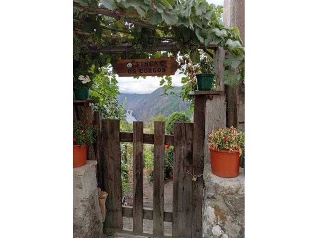 Se vende casa con terreno en plena Ribeira Sacra photo 0