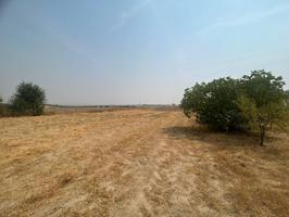 Terreno en venta en Olías del Rey photo 0