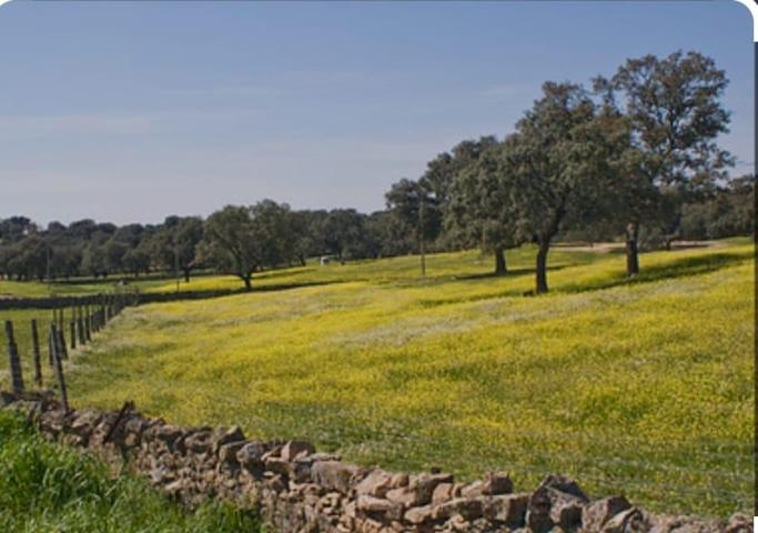 Terreno Urbanizable En venta en Pueblo, Añover De Tormes photo 0