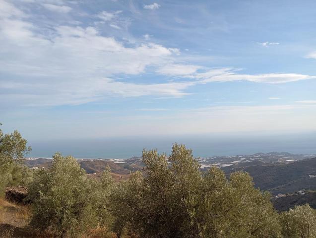 T-056 PARCELA EN SAYALONGA photo 0