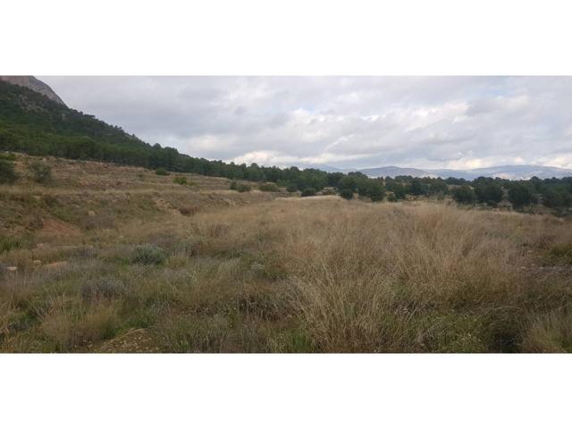 Finca rustica en venta en Holiday-Club photo 0