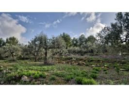 Finca rustica en venta en Gata de Gorgos photo 0