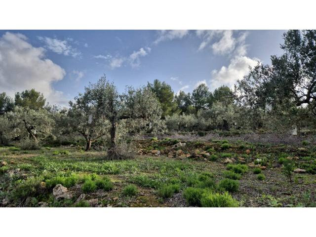Finca rustica en venta en Gata de Gorgos photo 0
