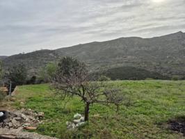 Finca rustica en venta en L'Atzúbia photo 0