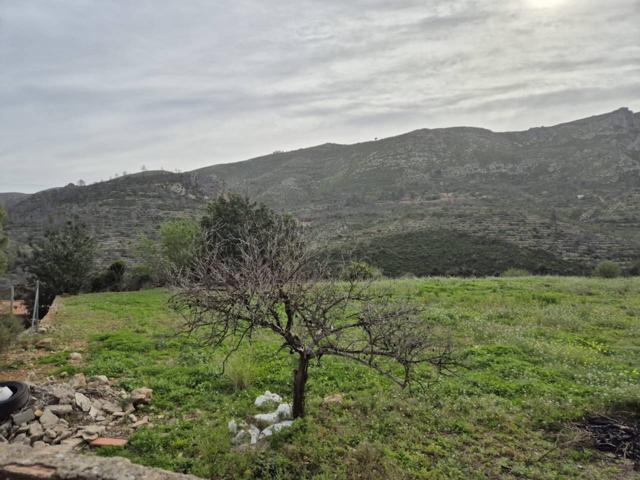 Finca rustica en venta en L'Atzúbia photo 0