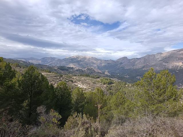 Finca rustica en venta en Benimantell photo 0