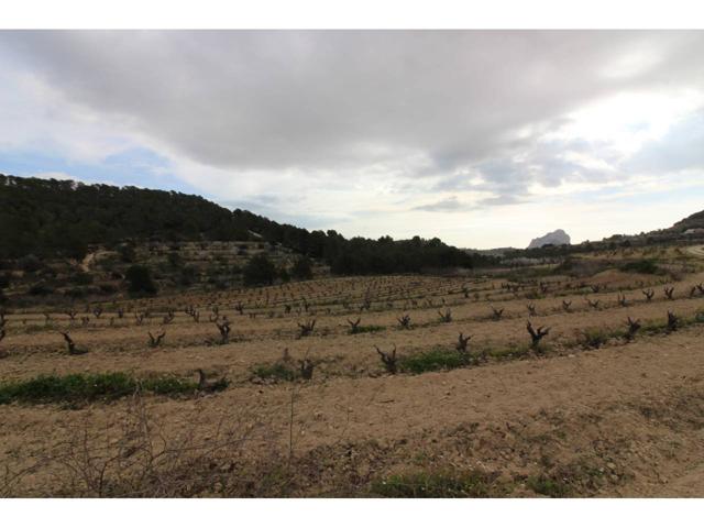 Parcela en venta Barranc del Pioco photo 0