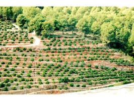 Terreno en venta en Algar photo 0
