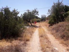 Parcela en venta en Oltamar-Cucarres photo 0