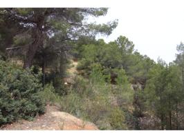 Chalet en venta en Oltamar-Cucarres photo 0