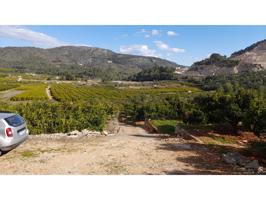 Finca rustica en venta en L'Atzúbia photo 0