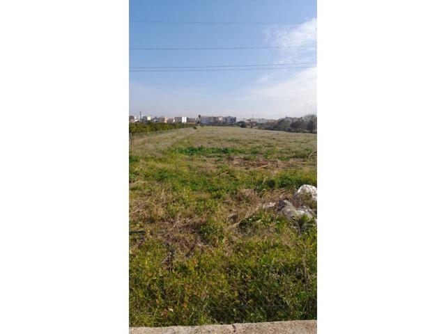 Terreno en venta en El Verger photo 0