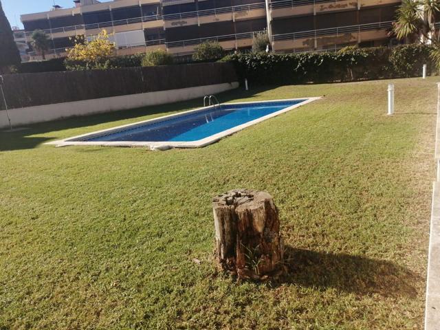 Piso Soleado con terraza, piscina y parking! photo 0