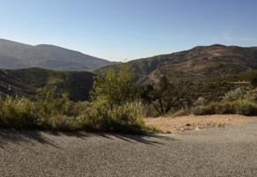 VENTA DE BONITA FINCA DE OLIVOS EN LANJARÓN (GRANADA) photo 0