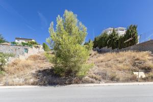 PARCELA URBANA EN CUMBRES VERDES photo 0