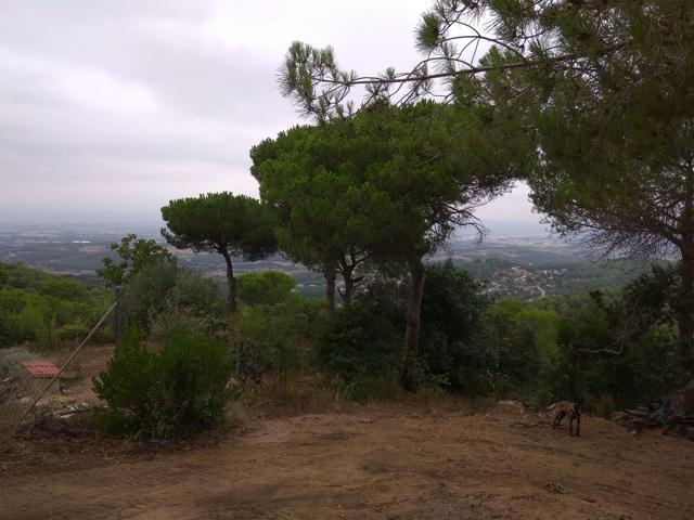 Terreno Urbanizable En venta en Calle Sant Andreu, Vallromanes photo 0