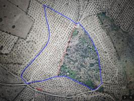 Terreno en venta en Montehermoso de 23295 m2 photo 0