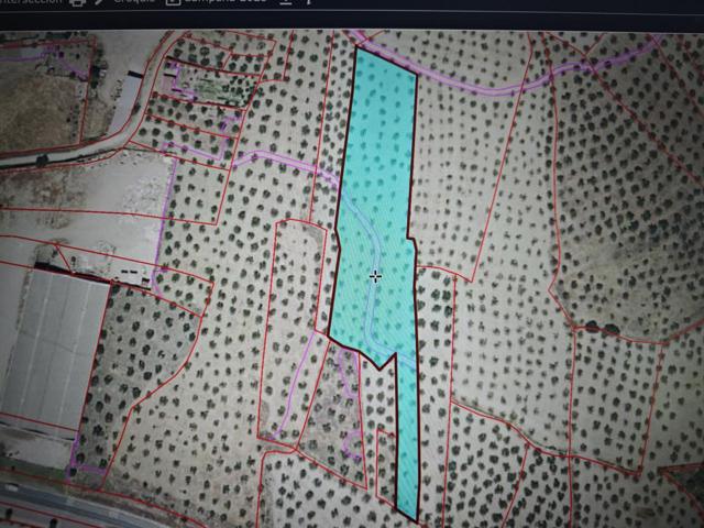 Terreno en venta en Montehermoso de 5365 m2 photo 0