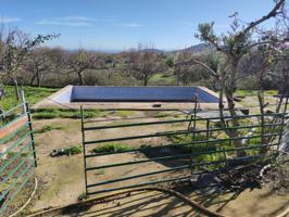 Casa Rústica en venta en Plasencia de 9000 m2 photo 0