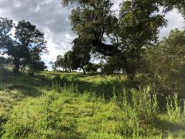 🌿 ¡Se vende espectacular finca a 5 minutos de Plasencia! photo 0