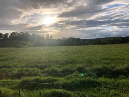 🌿 ¡Se vende espectacular finca a 5 minutos de Plasencia! photo 0