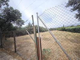 Se vende magnífica parcela urbana con acerado, rodeada de árboles y en un entorno tranquilo y natural. photo 0