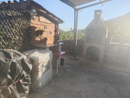 SE VENDE FINCA EN EL TORNO photo 0
