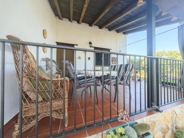 SE VENDE FINCA EN EL TORNO photo 0