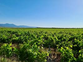 Granja En venta en Jumilla photo 0