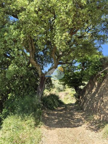 PRECIOSA FINCA EN EL PARQUE NATURAL SIERRA DE LAS NIEVES!! photo 0