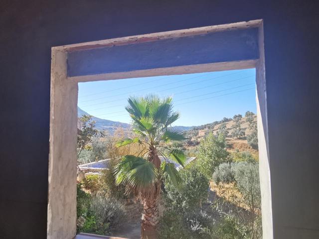 PRECIOSA FINCA EN EL BURGO!! photo 0