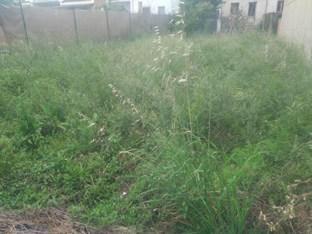 Artes. Zona entrada poble. Venem Parcela urbanitzable photo 0